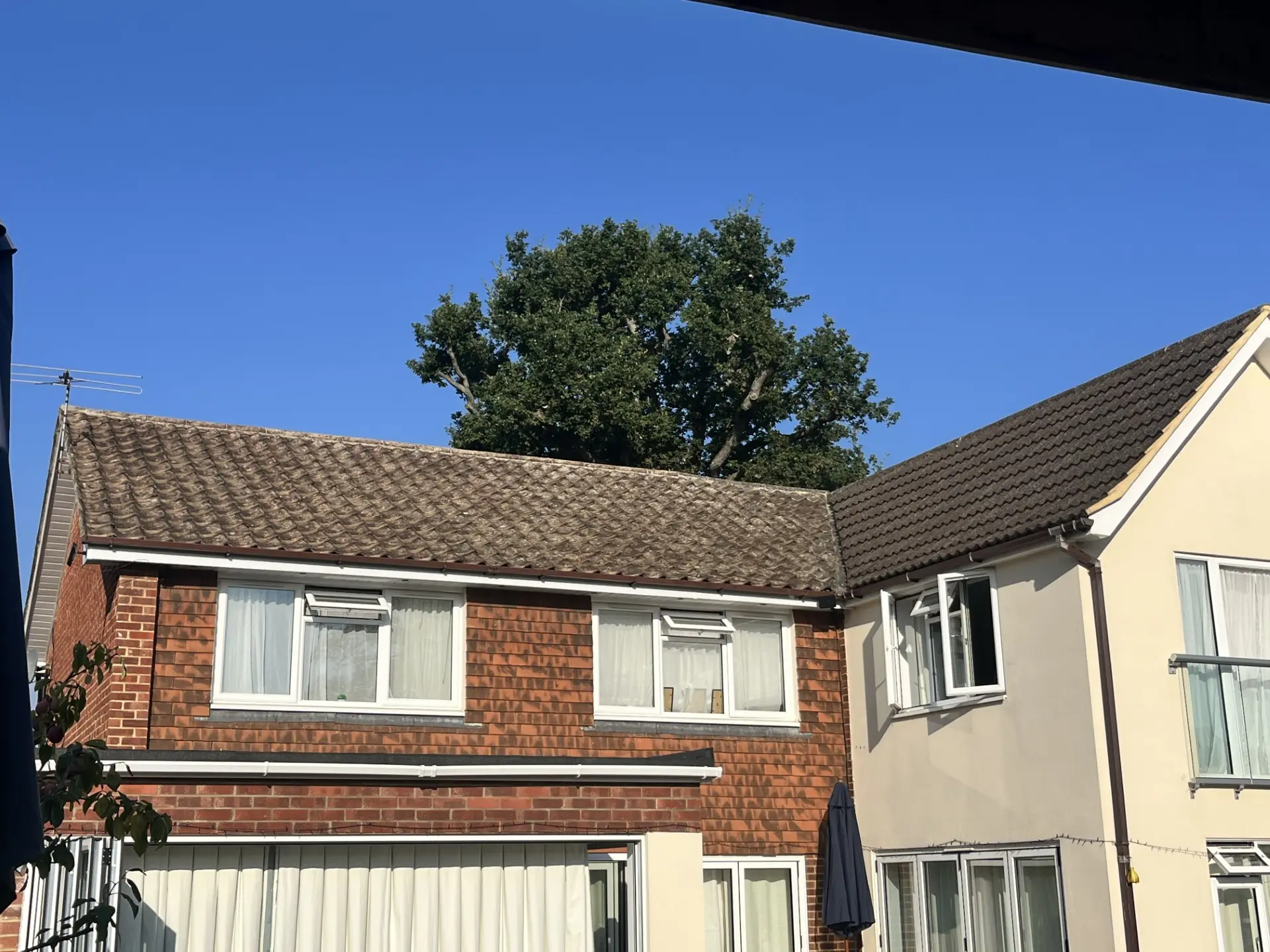 Moss covered concrete tiled roof on a Surrey house before roof cleaning